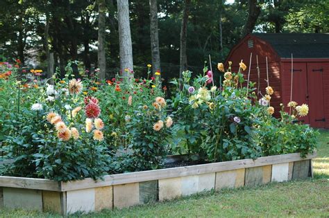 deborah jean's DANDELION HOUSE and GARDEN : Re-Claimed Raised Beds for FRESH Flowers and Produce