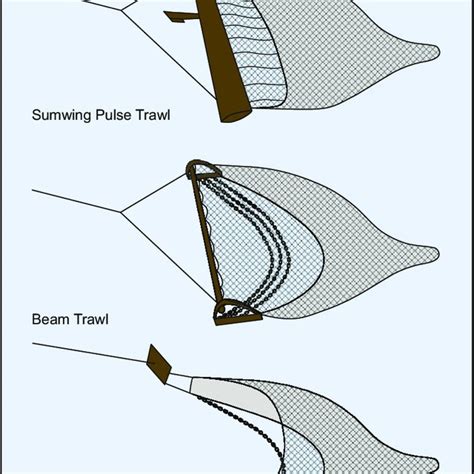 2 Bottom trawling techniques used in North Sea cod and flatfish... | Download Scientific Diagram