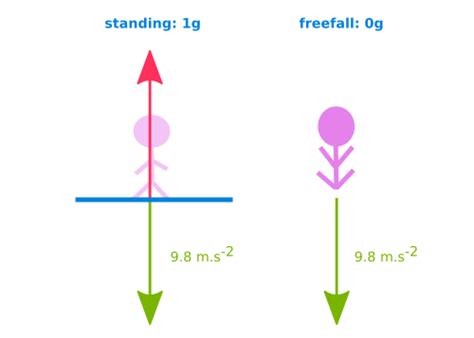 newtonian mechanics - G-force: difference between gravity and acceleration of an object ...