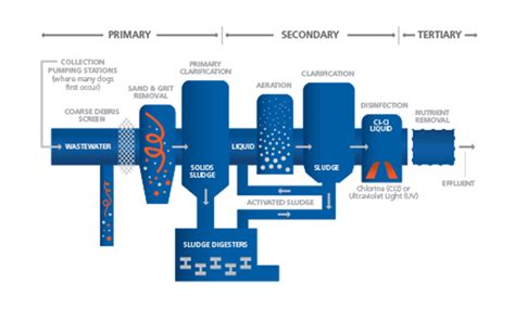 A Look at Wastewater Treatment Processes - Empowering Pumps and Equipment