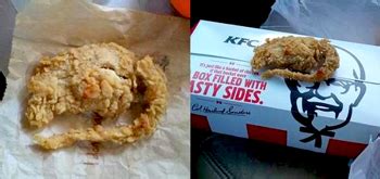 KFC serves fried rat instead of chicken to customer! | coastaldigest.com - The Trusted News ...