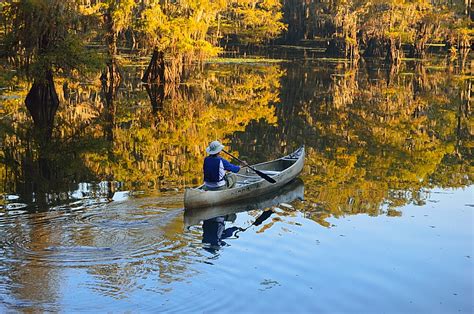 Backroads Nature–Caddo Lake State Park