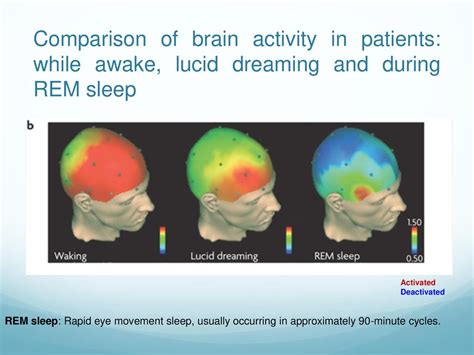 The Biopsychology of Sleep and Dreaming - ppt download