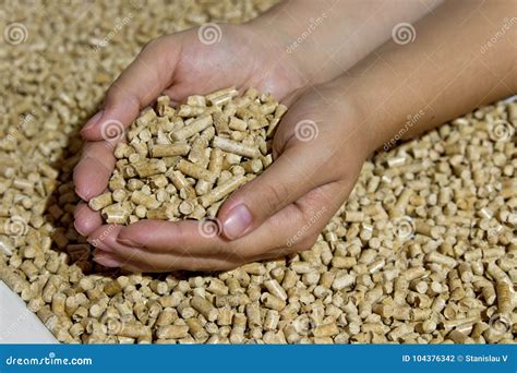 Biofuels. Alternative Biofuel from Sawdust , Wood Pellets Stock Photo ...