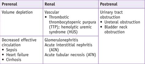 Icd 10 Cm Code For Pre Renal Acute Kidney Injury