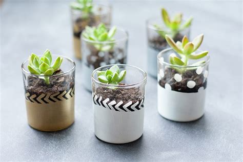 Cute Tiny Succulent Planters That You Will Instantly Fall In Love With ...