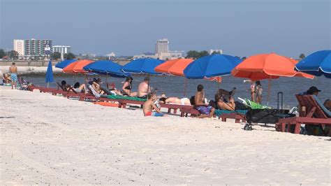 Are Dogs Allowed On Biloxi Beaches