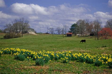 images+of+randolph+couny,+alabama | Randolph County, Alabama | Flickr - Photo Sharing! Randolph ...