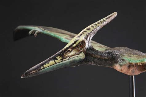 Jurassic Park 3 Pteranodon maquette | Jurassic park world, Jurassic ...