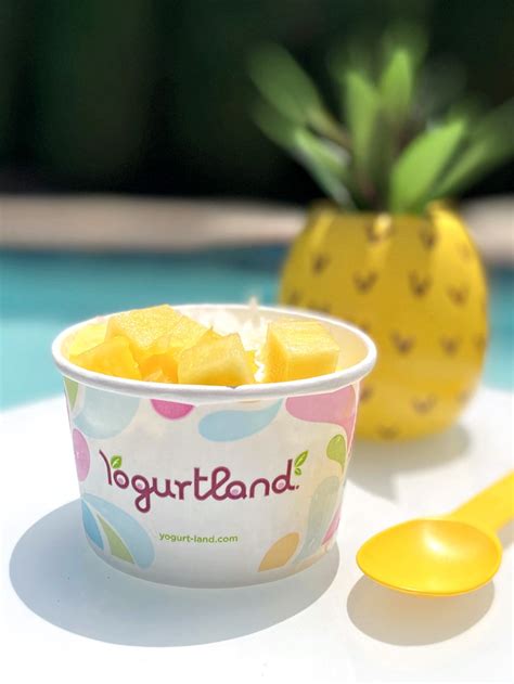 Yogurtland Frozen Yogurt Shops: Dairy-Free & Vegan Guide