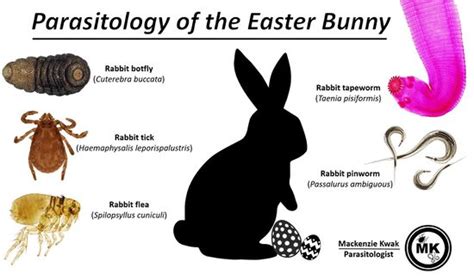 Parasites - WabbitWiki