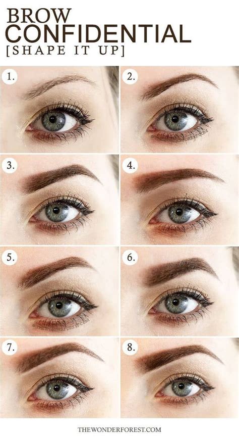 16 Eyebrow Diagrams That Will Explain Everything To You | Different ...