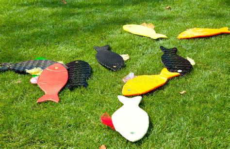 Kid toys. Color fish stock image. Image of park, lawn - 32955957