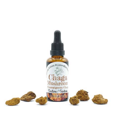 Chaga Tincture - Laughing Lichen