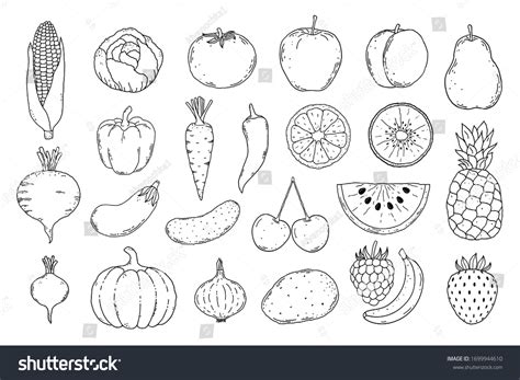 Collection Hand Drawn Fruits Vegetables Icons Stock Vector (Royalty Free) 1699944610 | Shutterstock