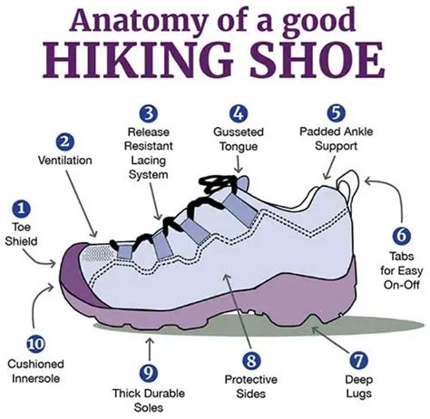 Hiking Shoes Brands List (Updated 202) | ORASKILL