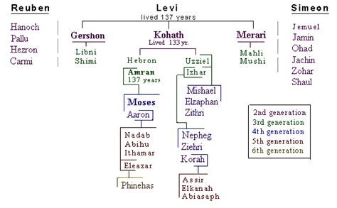 Levi Bible Family Tree