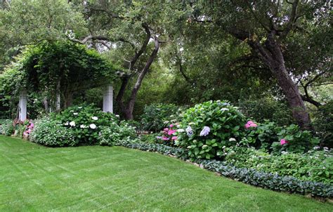 Back Yard Shade Garden - Traditional - Landscape - Santa Barbara - by Donna Lynn - Landscape ...
