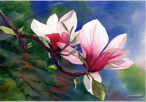 MAGNOLIA FLOWER PAINTINGS