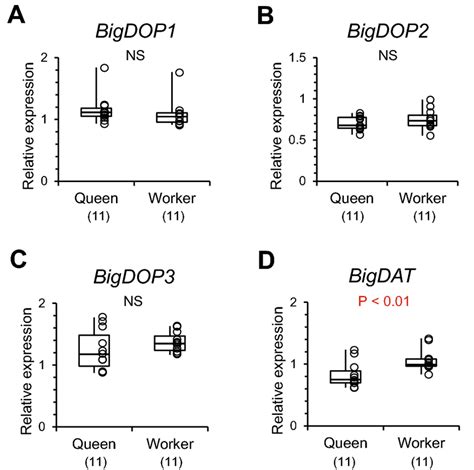 Relative expression levels of dopamine receptor genes and a dopamine... | Download Scientific ...