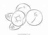 Plums At Seet Coloring Page For Kids  Free Plum Printable sketch template