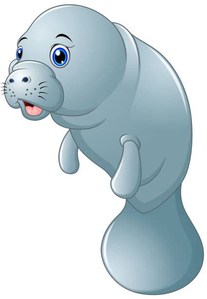 Clip Art Of Cute Manatee Illustrations, Royalty-Free Vector Graphics ...