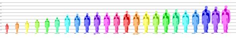 Setting-Agnostic Race Height Chart: Minimum, Average, & Maximum Heights