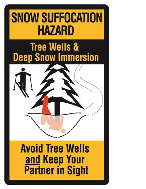 Tree Well & Deep Snow Safety