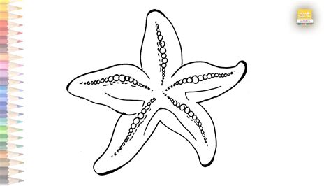 How To Draw Starfish