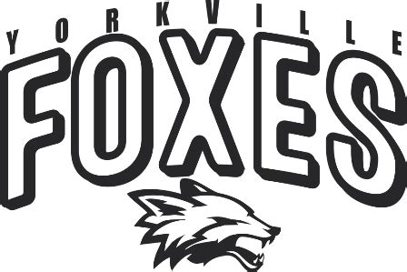 Yorkville Foxes Arc