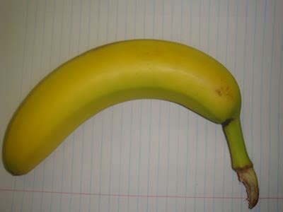 Yien's Bioengineering Blog: Blogging about Structure: the Banana