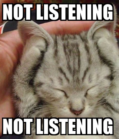 NOT LISTENING, NOT LISTENING | Funny cute cats, Funny animal jokes ...