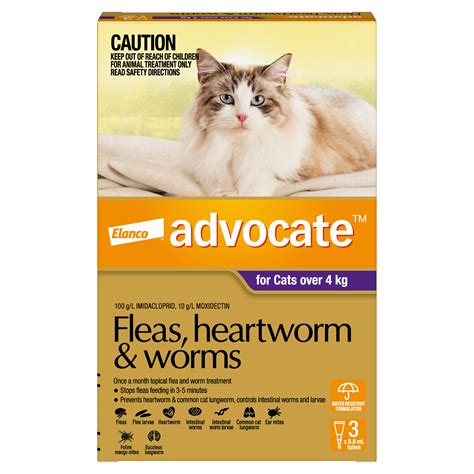 Advocate Flea & Worm Treatment >4kg Cat | Petstock