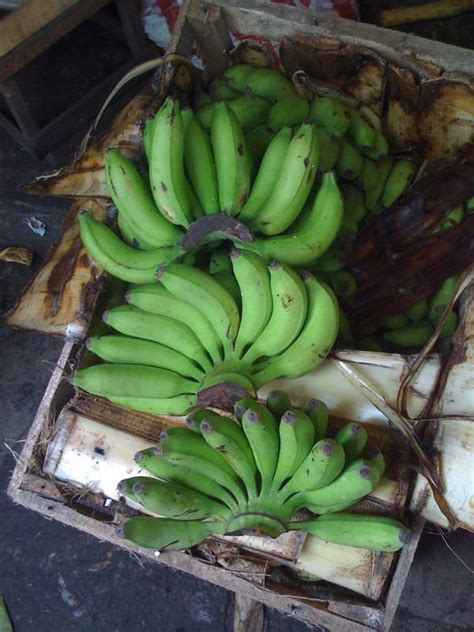 Banana Latundan,Philippines price supplier - 21food