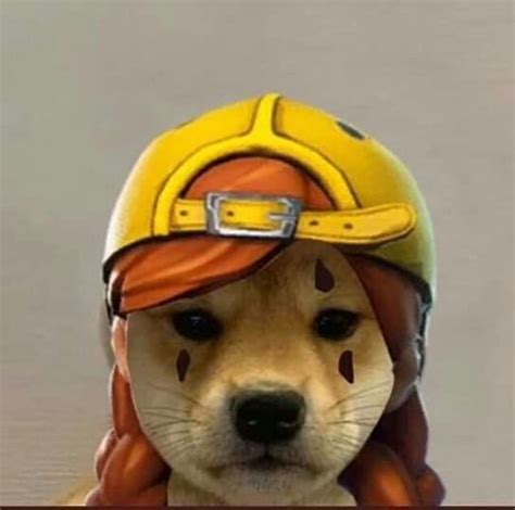 Fortnite Aura Dog Meme | Dog images, Dog memes, Dog icon