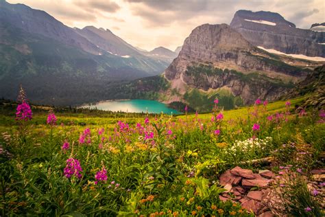 Mountain Meadow | “With an eye made quiet by the power of ha… | Flickr