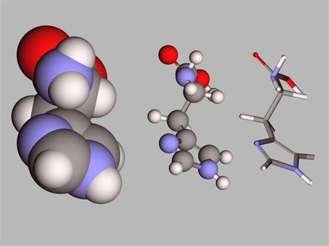 Collection of 21 alpha amino acids L- stereoisomers 3D model | CGTrader