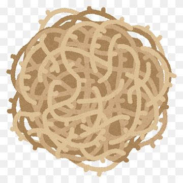 Tumbleweed png images | PNGWing