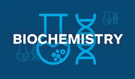 Spotlight on popular majors: Biochemistry | Mount Holyoke College