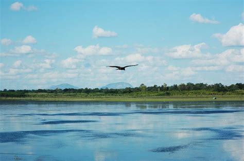 Hesaraghatta Lake - Alchetron, The Free Social Encyclopedia