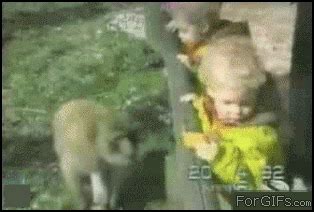 Kid Monkey GIF - Find & Share on GIPHY