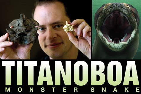 Head, Titanoboa featured in Smithsonian special | Announce | University of Nebraska-Lincoln