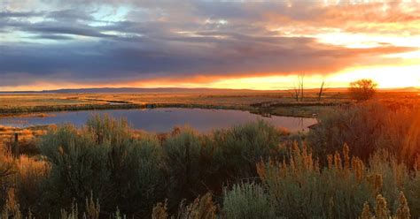 Malheur National Wildlife Refuge | U.S. Fish & Wildlife Service