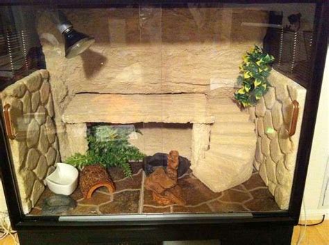 BEARDED DRAGON HABITAT 80 | Bearded dragon diy, Bearded dragon habitat ...