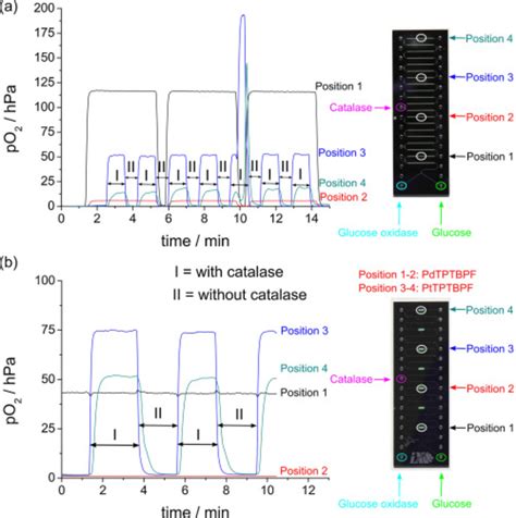 Oxidation of glucose by glucose oxidase to D-glucono-δ-lactone and... | Download Scientific Diagram