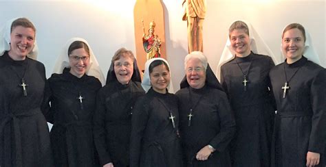 Religious Sisters of Mercy of Alma, Michigan - Council of Major Superiors of Women Religious