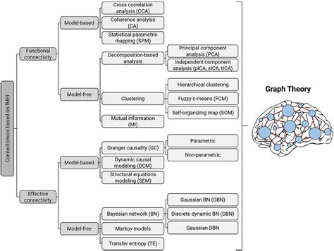 Frontiers | Application of Graph Theory for Identifying Connectivity Patterns in Human Brain ...