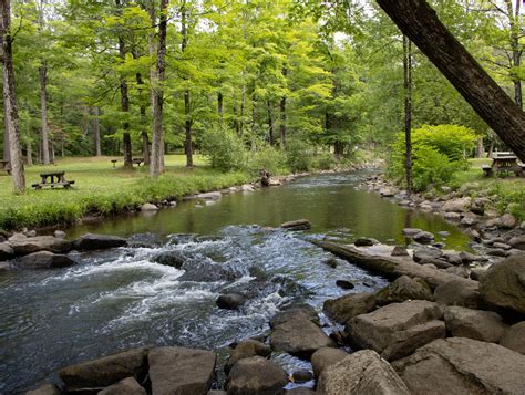 Travels in the 2nd half: Saratoga Spa State Park is a great place for a nature hike.