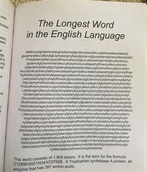 What is the world longest word - nutmaz