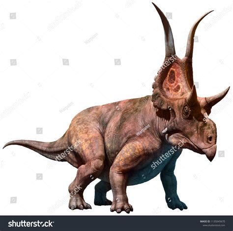 Diabloceratops Cretaceous Era 3d Illustration Stock Illustration 1135045670 | Shutterstock